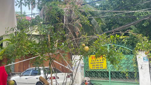 Land/house for rent street Betong wat Damboul kpous