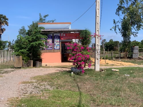 ដីលក់ក្រោមទីផ្សារ50%នៅផ្លូវ60ម៉ែតជិតសាលាបច្ចេសទេសក្រុងសៀមរាប