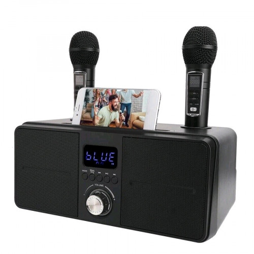 SD-309 SARD Speaker karaoke Set 30W Doal Wireless Micorphone Bluetooth Speaker Stereo Boom box