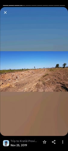 ដីចំការសម្រាប់លក់