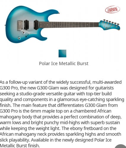 Cort Electric Guitar Model:G300-Glam