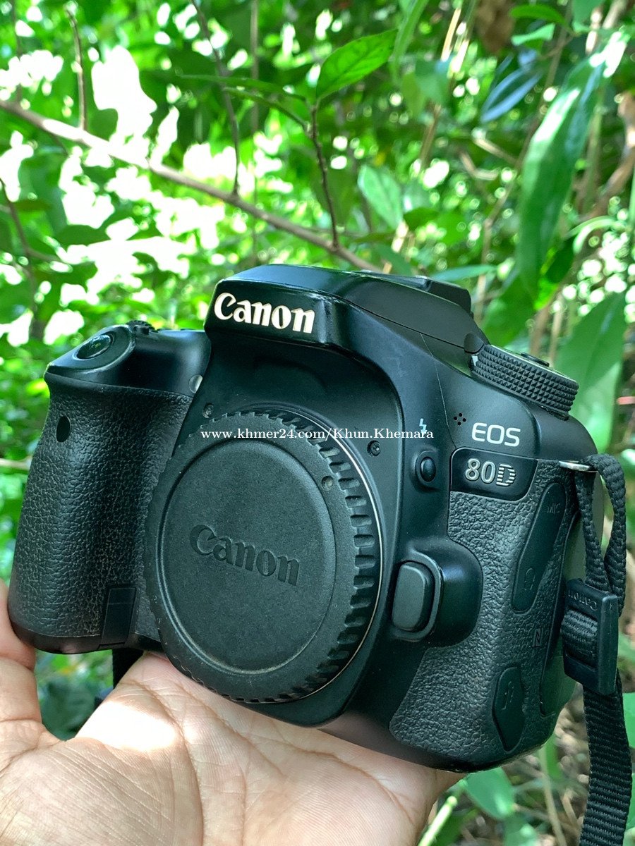 Canon 80D #Body #មួយទឹក នៅស្អាត គុណភាពល្អ! Price $325.00 in Sala ...