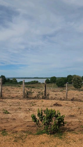 ដីជាប់មាត់ទន្លេ