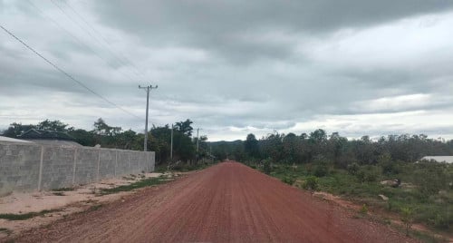 ដីចំការ 16 ហិតតា​លក់បន្ទាន់