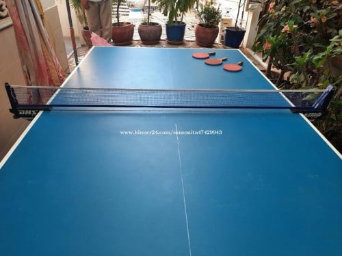 Table Ping Pong
