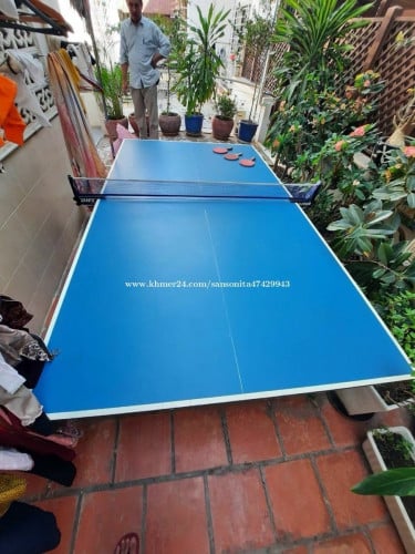 Table Ping Pong