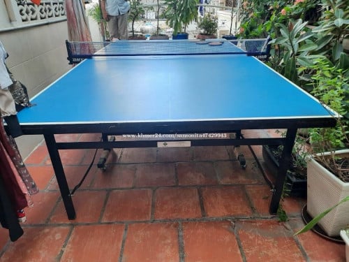 Table Ping Pong