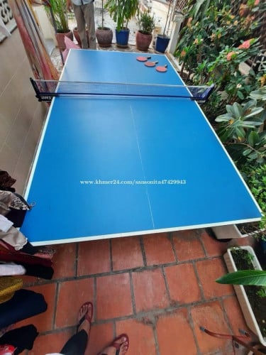 Table Ping Pong