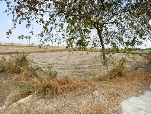 🏦Land for Urgent Sale (Negotiable), ABA Loan Available.