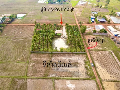 ខេត្តកំពត​ ក្បែរផ្សារឈូក