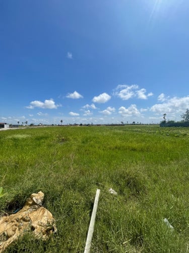 ដីសំរាប់លក់ រឺជួល