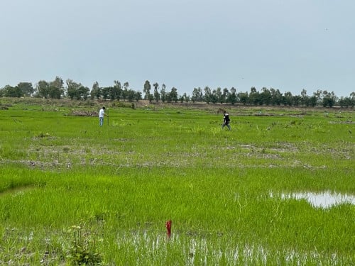 ដីកសិកម្ម