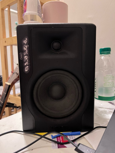 Speaker monitor