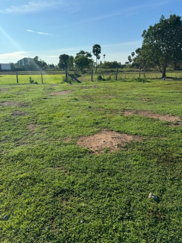 ដីលក់នៅភ្នំប្រសឹទ្ធ នៅភូមិមុឹនរៀម