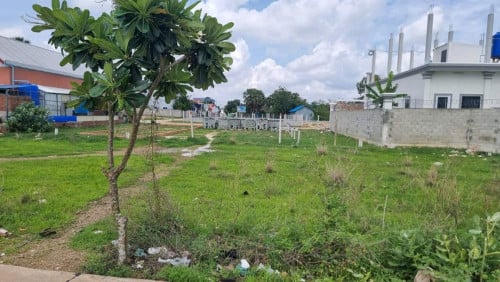 លក់ប្រញ៉ាប់លុយ កាត់ប្លង់រឹងជូន