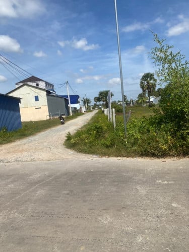 ដីឡូកប់ស្រូវជិតបឹងតាមោក20m*20m