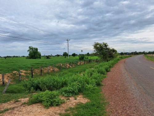 ដីលក់ ពោធិ៍សាត់ ឃុំតាលោ 1ម៉ែត្រ 1,700$ ចចារម្ចាស់ដើម