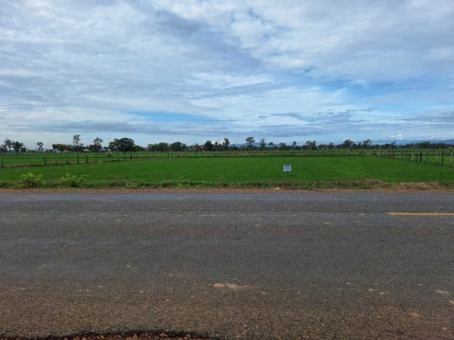 ដីលក់ ពោធិ៍សាត់ ឃុំតាលា 1m 1,700$ ចចារម្ចាស់ដើម