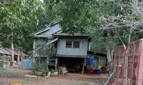 ដីលក់ ចំការស្វាយ ខេត្តកំពង់ស្ពឺ