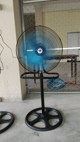 Fan