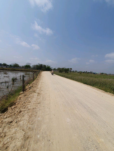 ដីលក់