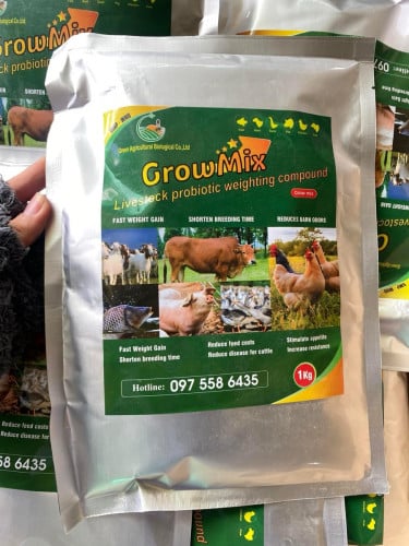 អាហាបំប៉នសត្វ ជ្រូក គោ មាន់ ទា