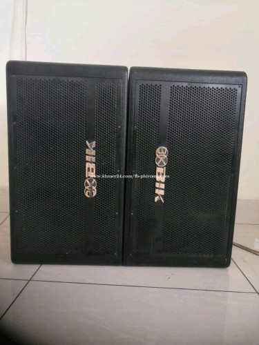 ធុងបាស់ការ៉ាអូខេ ម៉ាក BIK (1000W x2)