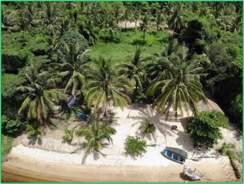 ដីលក់ជាប់ព្រែកកំពត