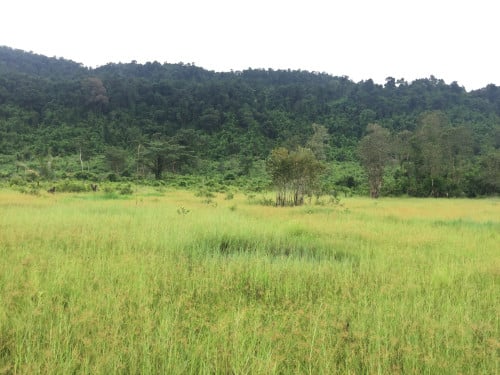 ដីលក់ជាប់ព្រែកតាតៃ