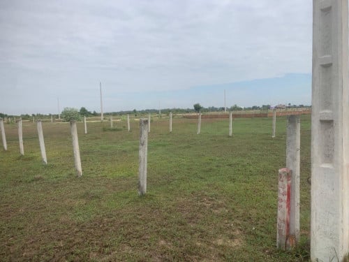 ដីលក់បន្ទាន់