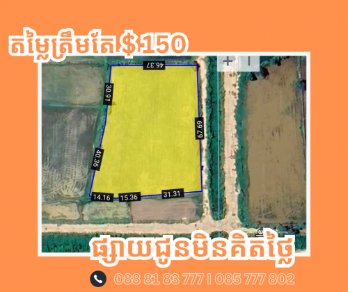 ដីសម្រាប់លក់ (ខាងត្បូងភ្នំពេញ ប្រលានថ្មី ដីកែង)