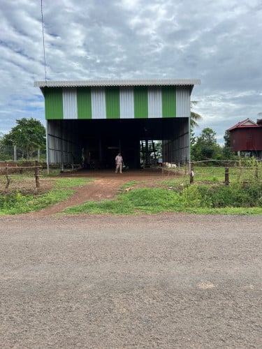 ផ្ទះ-ដីលក់បន្ទាន់ នៅអូរស្វាយ កំពង់សៀម កំពង់ចាម ក្រោមទីផ្សារ