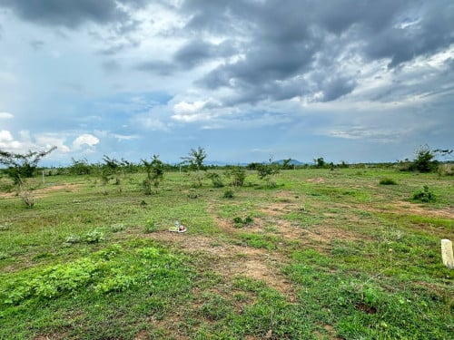 ដីលក់លើផ្លូវរដ្ថ ទំហំ​ 953ម៉ែត្រការ៉េ​