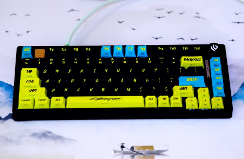 CUSTOM KEYBOARD LEOBORG Hi75 Cyberpunk2077