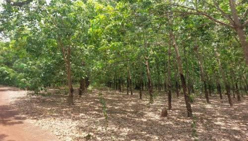 🏦Land for Urgent sale (Negotiable), ABA Loan Available