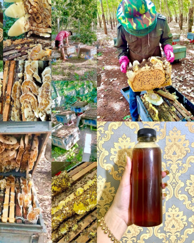 ទឹកឃ្មុំឆៅ ១លីត្រ $20 ទិញ ១លីត្រ ថែមជូន ១លីត្រ ហ្វ្រីដឹកជូន