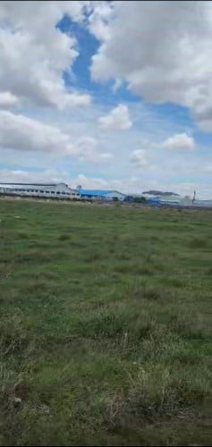 មានដីលក់នៅលើផ្លូវជាតិលេខ4(Land For Sale on National Road:4)