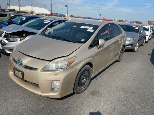 Prius 2010 Option5