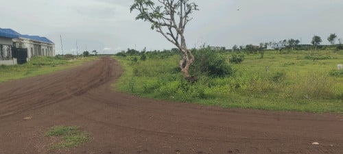 ដីលក់ឡៃឡុង មហាធូរថ្លៃ អ្នកទិញចំនេញច្រើន បានមកមើលដីផ្ទាល់ដឹងតែពេញចិត្ត