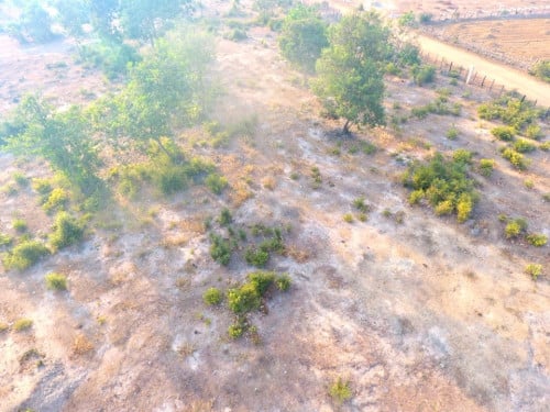 ដីកែងលក់បន្ទាន់​ ជាប់ស្រះធម្មជាតិ​ មានទឹកខួបប្រាំងខួបវស្សា