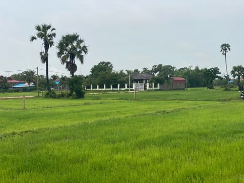 លក់ដី និង ផ្ទះ