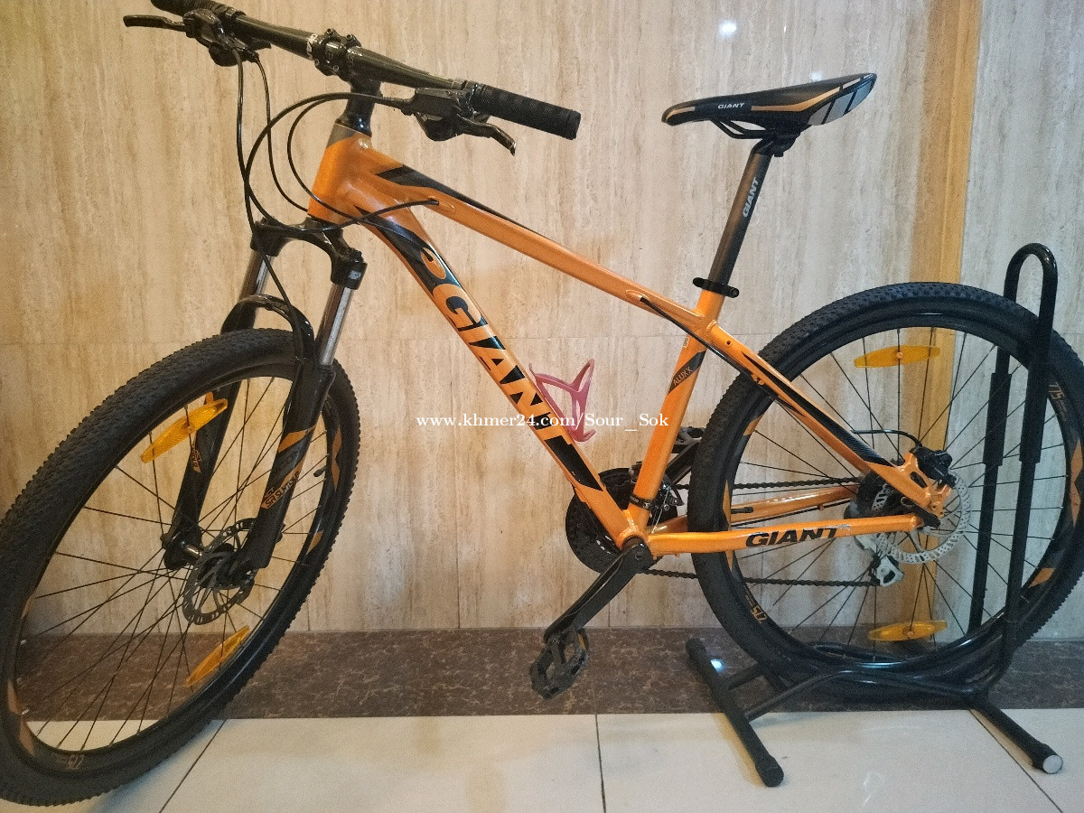 Giant rinc s fashion disc 27.5