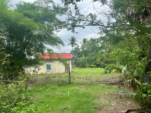 ដីលក់នៅតាកែវ