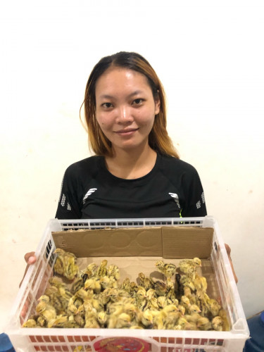 កូនក្រួចស្ងួតរោម100ក្បាល70000៛