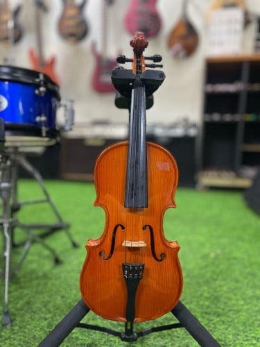 Violin 75$ up