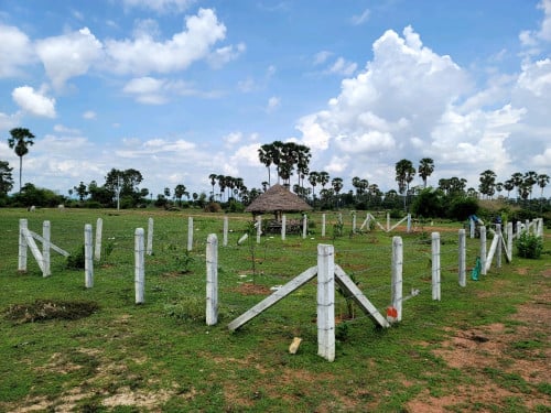 ដីលក់ ជាប់រោងចក្រឧស្សាហកម្មកាណាឌីយ៉ា