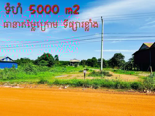 ដីលក់បន្ទាន់ខ្លាំង