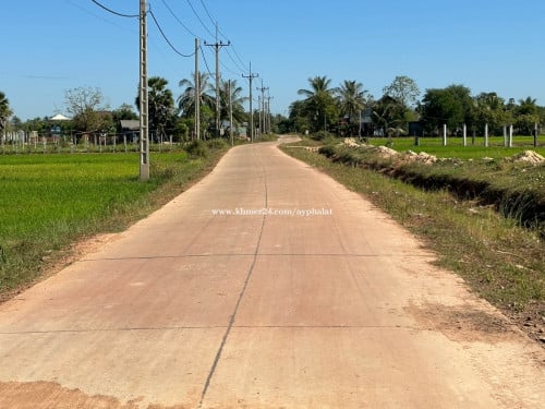 ដីលក់ថោកៗ សម័យកូវីត 75$/m2