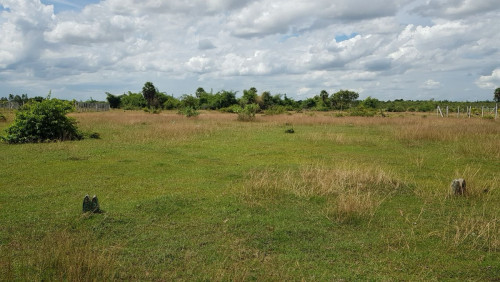 ដីលក់ ឃុំជើងរាស់ ក្បាល១៥បណ្តោយ២២