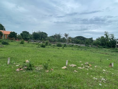 ដីគេហដ្ឋានក្នុងក្រុងបាត់ដំបង